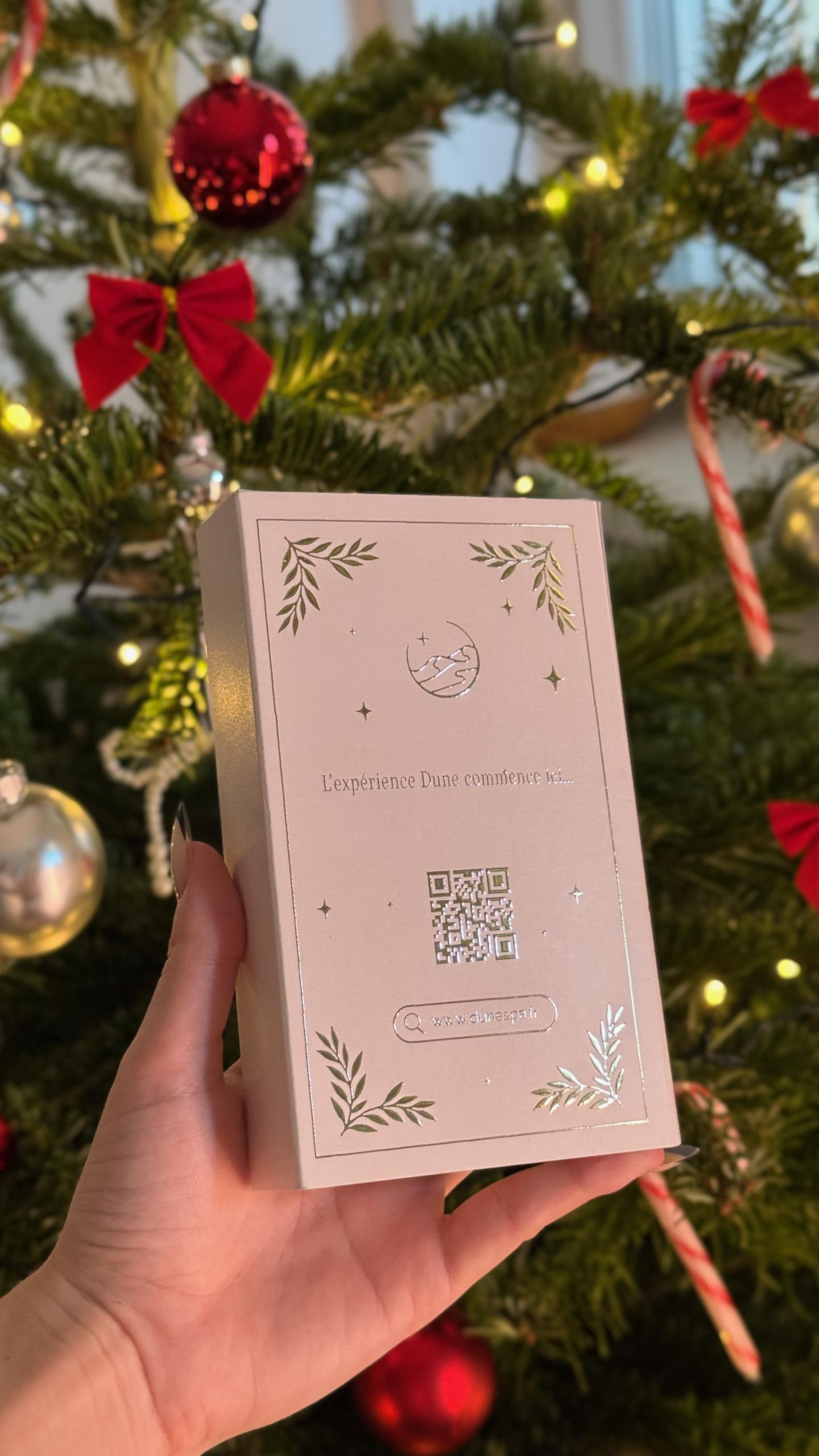 Coffret Cadeau Dune Spa – Édition Noël